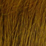 My Secret Hair Enhancer Medium Brown 5oz 3 pack