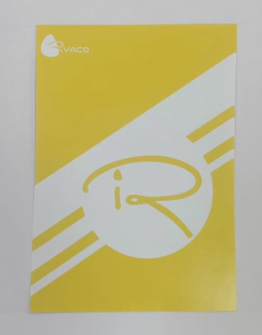 Ryaco RFID Blocking Money Belt – Slim Hidden Travel Wallet & Passport Holder with Adjustable Strap – Black Waist Pouch for Men & Women