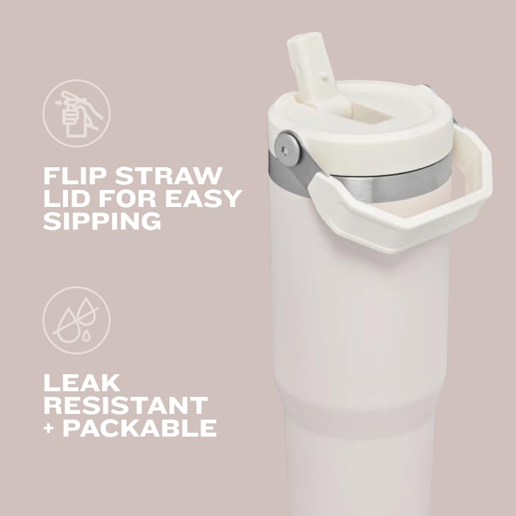 Stanley IceFlow 2.0 30oz Flip Straw Tumbler – Insulated Stainless Steel, Leak-Resistant, Twist-On Lid, BPA-Free, Dried Pine