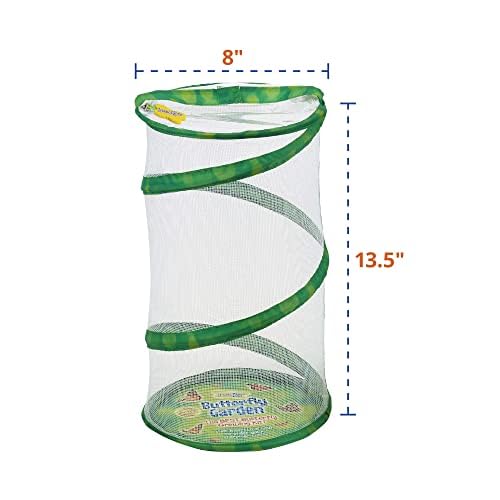 Insect Lore Butterfly Garden Kit - 8" Habitat with 5 Live Caterpillars, Stickers & Extras | STEM Life Science Gift to Grow & Release