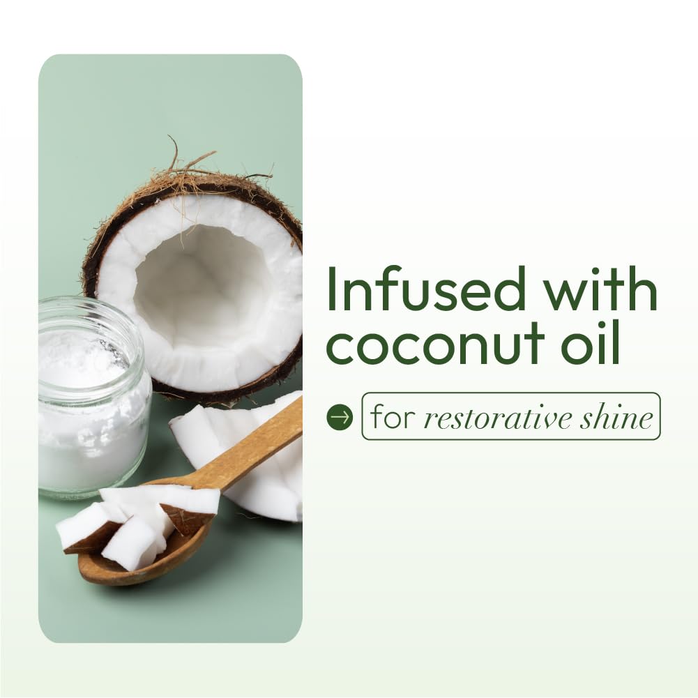 ORS Olive Oil Hold & Shine Wrap Set Mousse Infused with Coconut Oil for Restorative Shine 7 Ounce