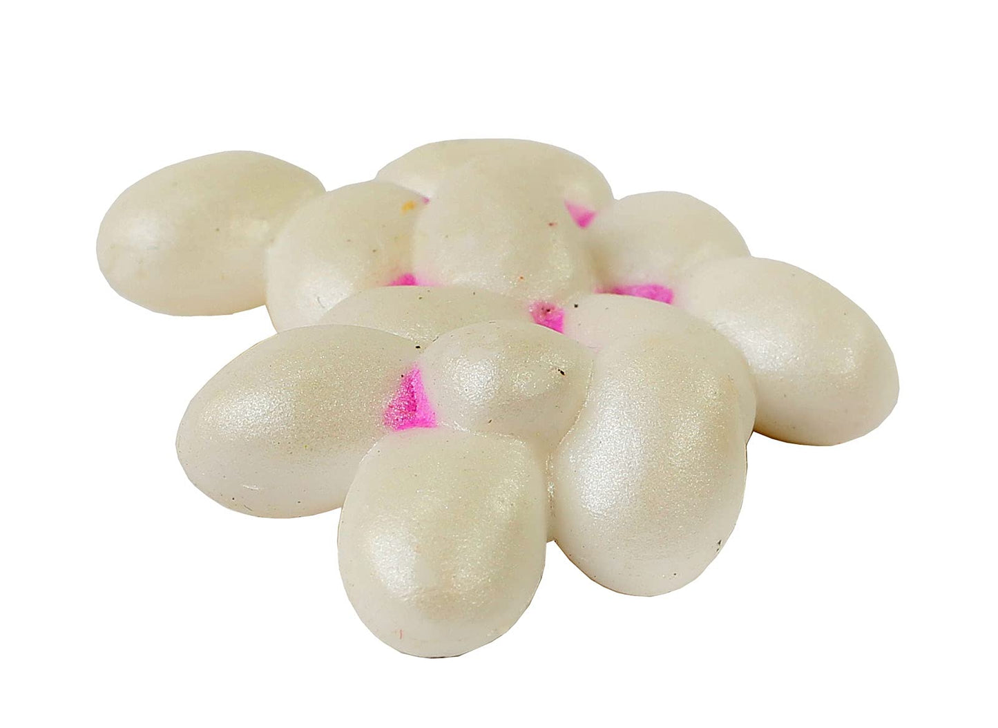 Insect Lore 50 Live Western Harvester Ants - Grown in The USA - Includes Ant Life Cycle Stages Figurines - Refill Habitat and Observe