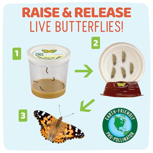 Insect Lore Raise & Release Butterfly Garden Kit – STEM Caterpillar Habitat with Voucher for Kids, Classrooms & Homeschool Learning