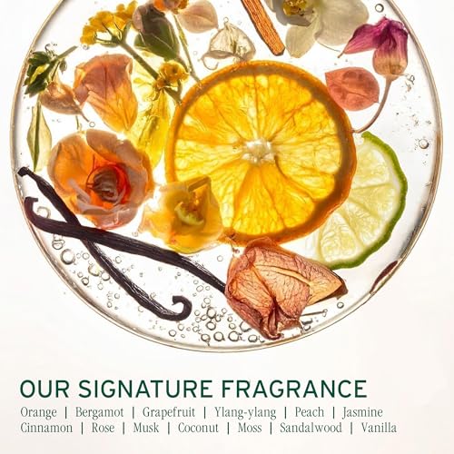 Biolage Scalp Sync Purifying Concentrate - Exfoliating & Clarifying Dry Scalp Treatment, Refreshing & Reinvigorating, Fermented Tea Blend & Glycolic Acid