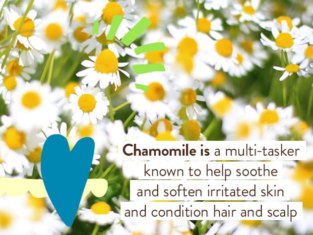 Babo Botanicals Baby Mineral Sunscreen Stick SPF 50, Zinc Oxide, 70% Organic, Fragrance-Free, Water Resistant, EWG & MADE SAFE Certified