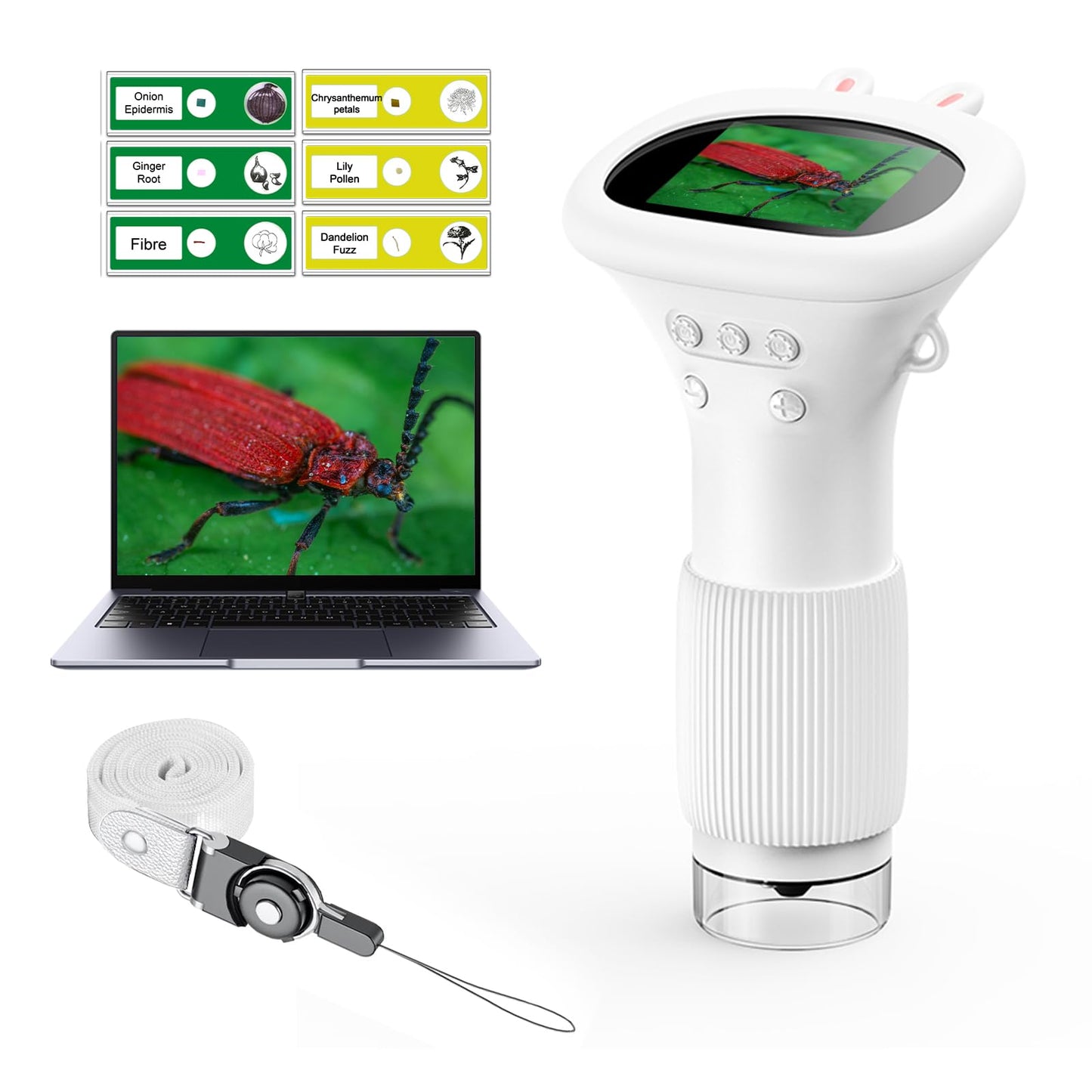 WINWEND Kids Microscope – Portable Handheld Digital Magnifier for Boys & Girls, Educational Science Toy for Ages 3–11, Gift Idea