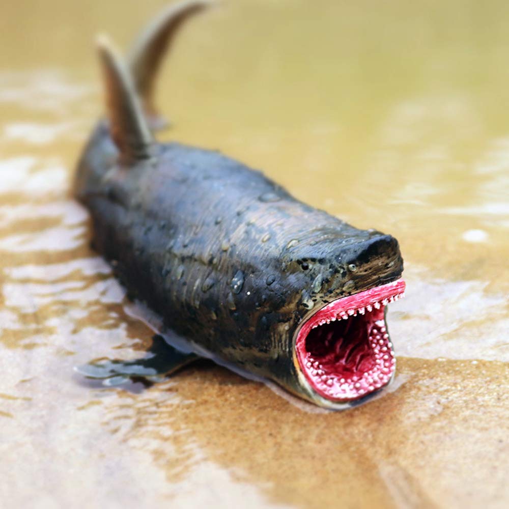 EOIVSH Megalodon Shark Toys - Large Realistic Ocean Animal Figures, Plastic Sharks for Bath, Collection, Cake Toppers & Gifts