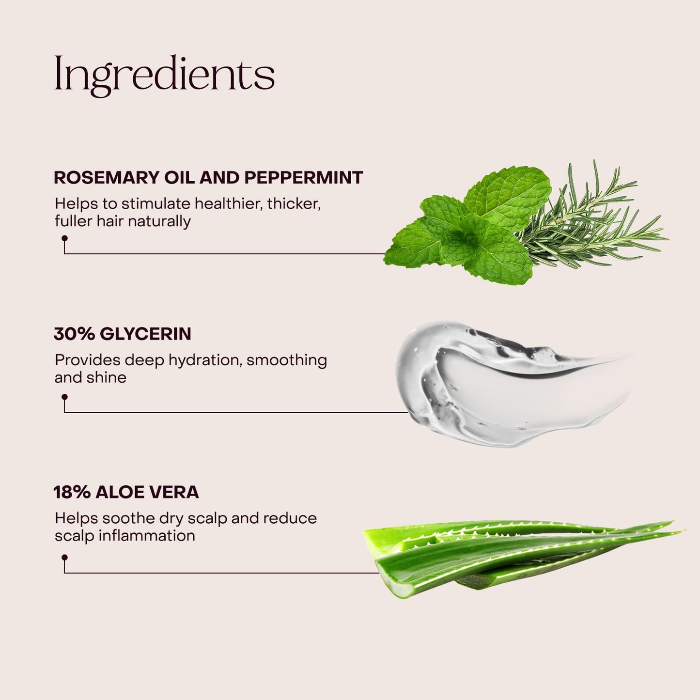 Everist The Haircare Essentials Duo | Shampoo & Deep Conditioner | Repairs & Hydrates | For Sensitive Scalp | Plant-Based, Color-Safe, 3.4 fl oz Each