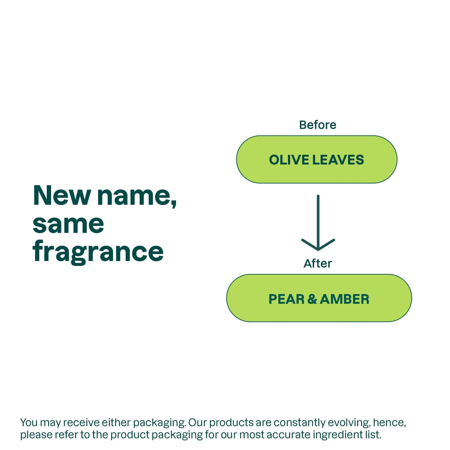 ATTITUDE Liquid Hand Soap, EWG Verified, Plant and Mineral-Based, Vegan Personal Care Products, Olive Leaves, 67.6 Fl Oz