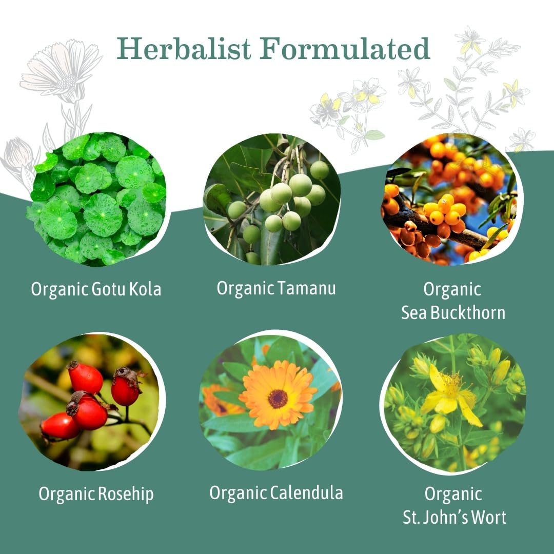 Earth Mama Organic Skin & Scar Balm 2-Pack – C-Section & Stretch Mark Recovery Cream with Jojoba, Tamanu & Gotu Kola Oils