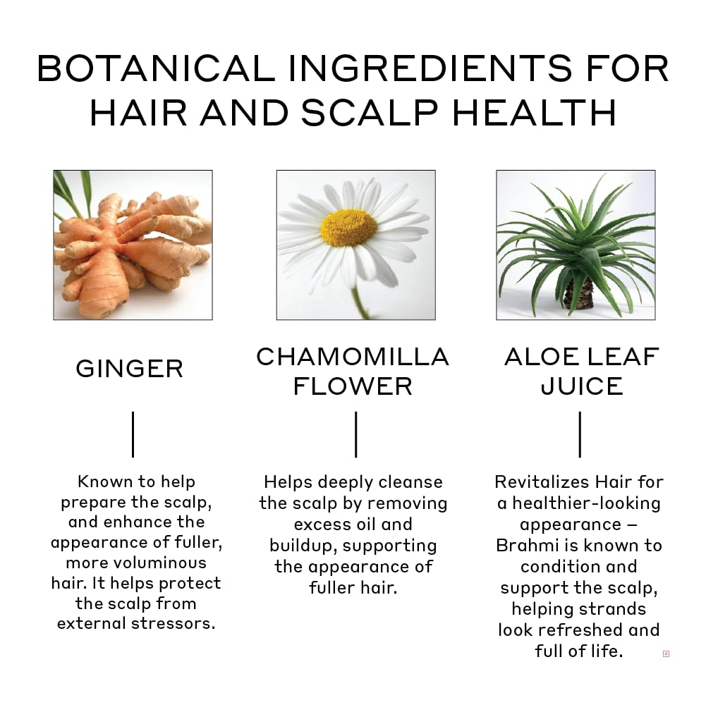 ZENAGEN Revolve Unisex Conditioner | Supports Scalp Health & Fuller, Thicker Hair | For Fine & Thinning Hair | Plant-Based, Vegan, Color-Safe, 6.75 oz