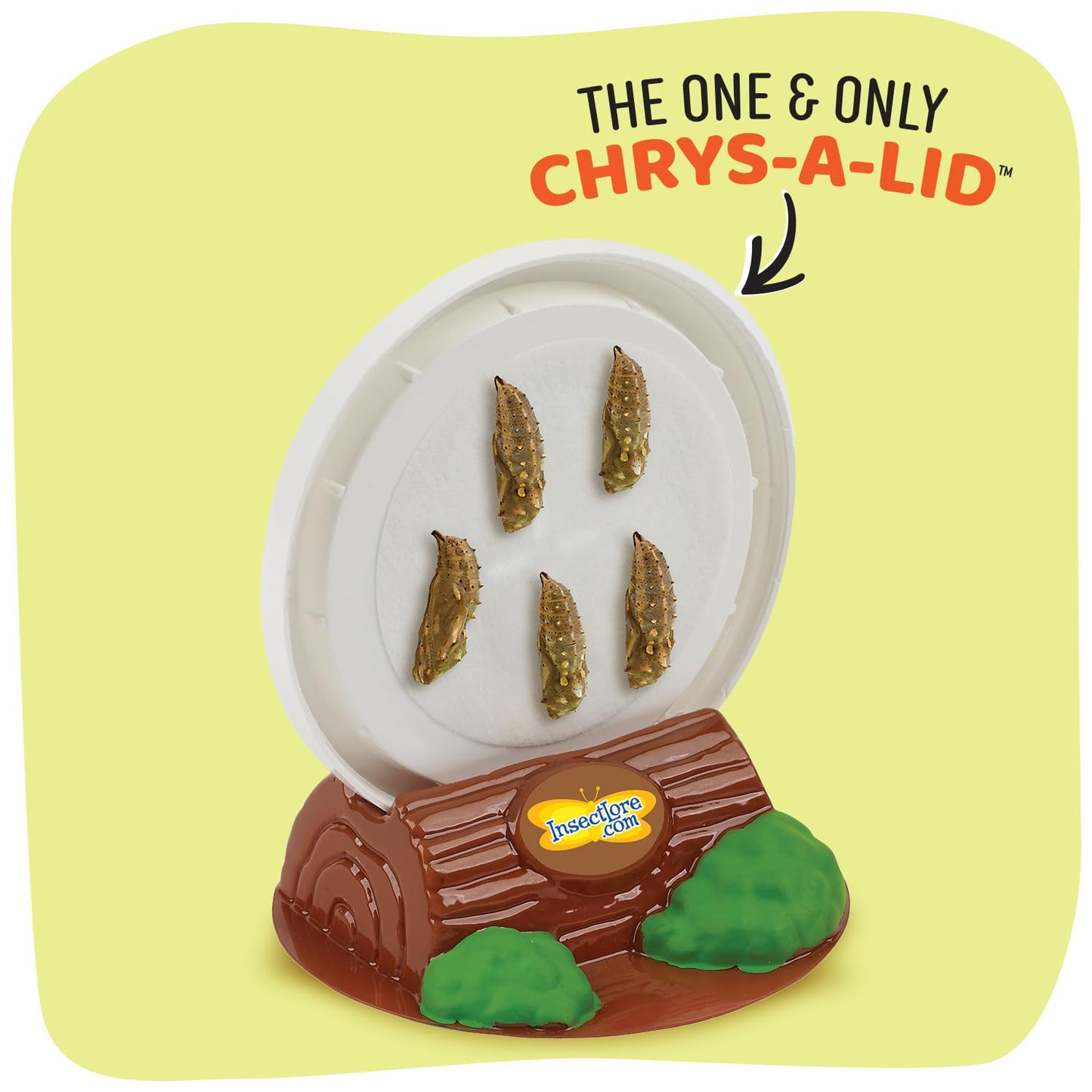 Insect Lore Butterfly Garden Kit – Grow 10 Live Painted Lady Butterflies, STEM Activity with Habitat, Journal, Stickers & Seeds