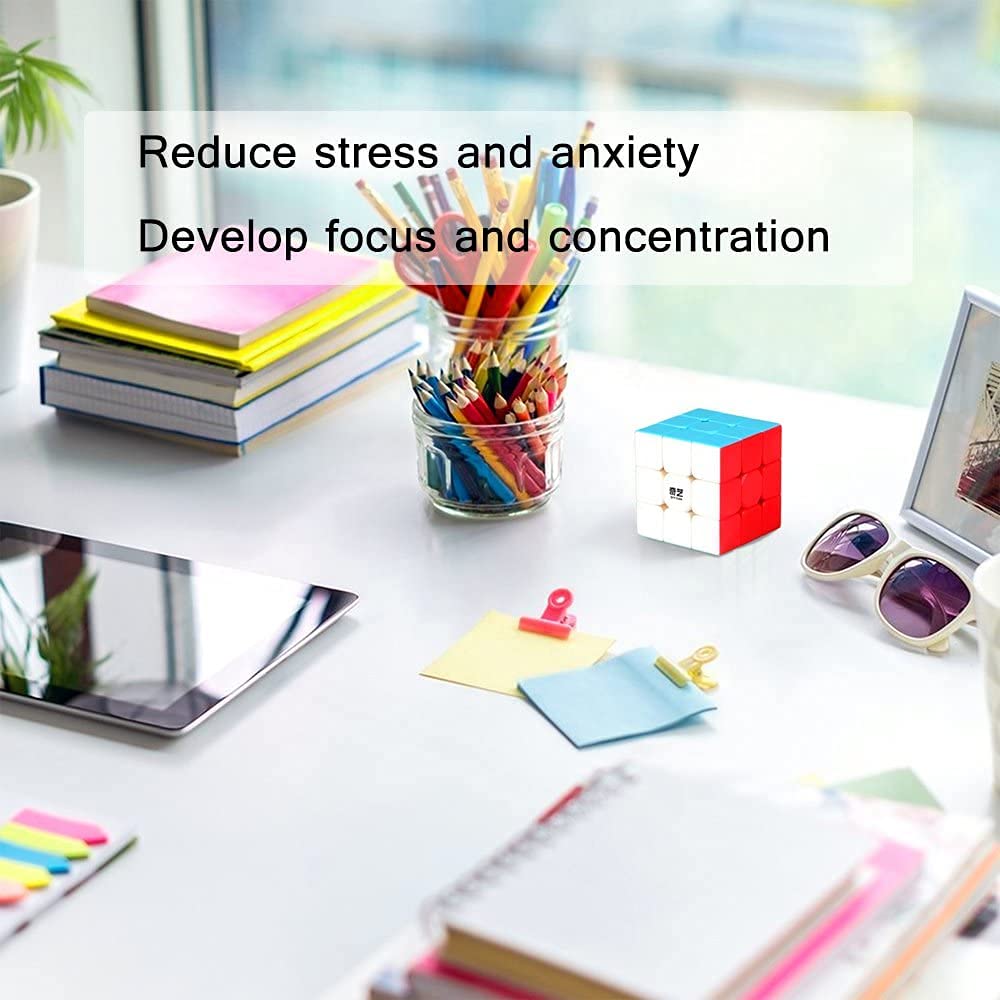 ROXENDA 3x3 Speed Cube, 3x3x3 QYTOYS Warrior S Speed Cube Stickerless Frosted Puzzle Magic Cube (Stickerless)