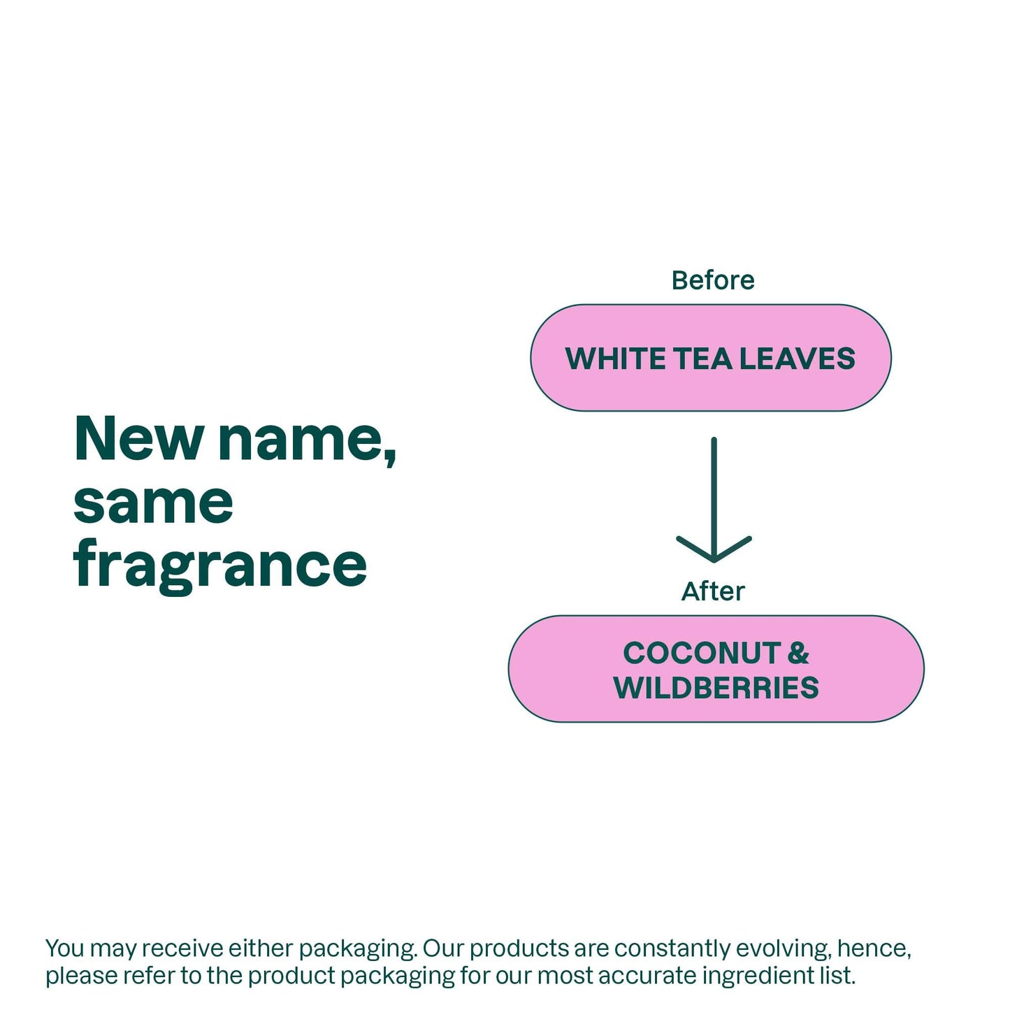 ATTITUDE Body Wash – EWG Verified, Dermatologically Tested, Plant & Mineral-Based Vegan Shower Gel with Coconut & Wild Berries, 16 fl oz