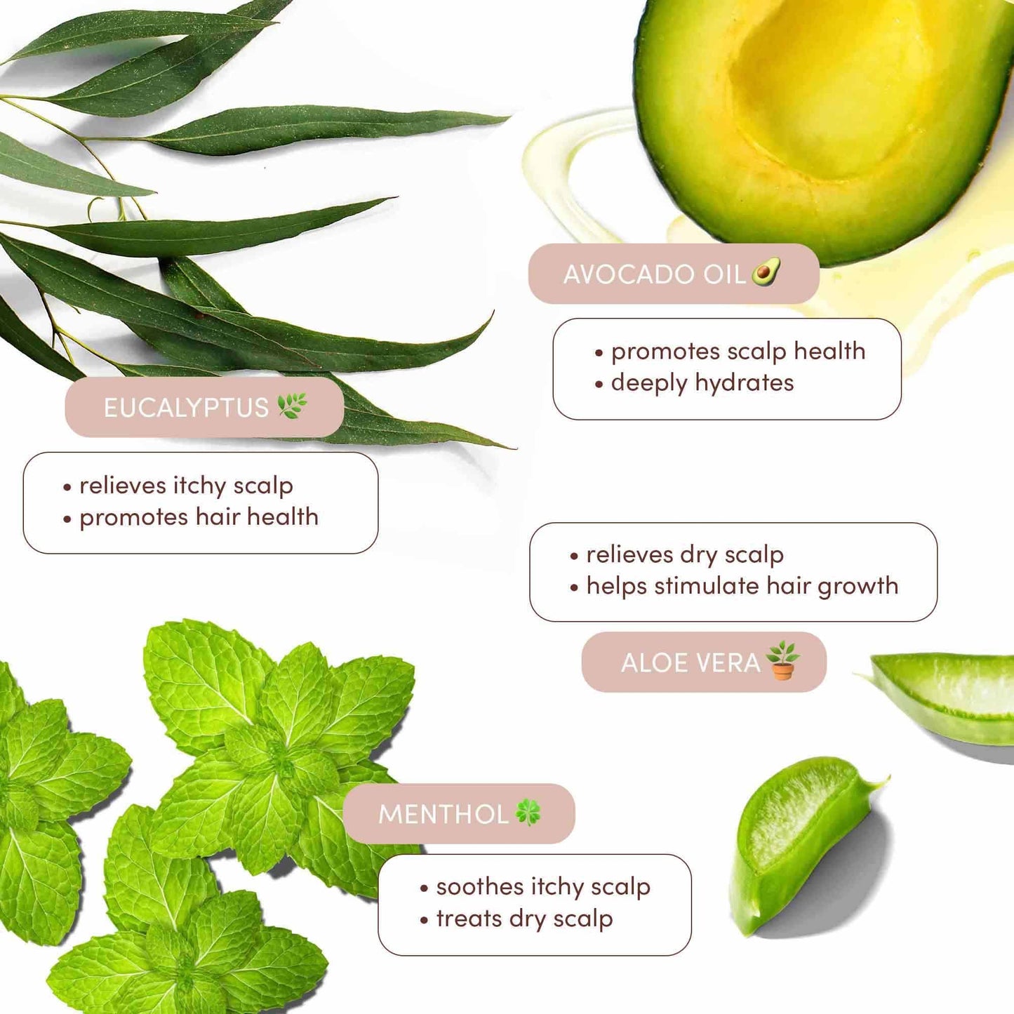 Mizani Scalp Care Calming Scalp Lotion - Dandruff Treatment, Nourishes & Soothes Scalps, For Curly Hair