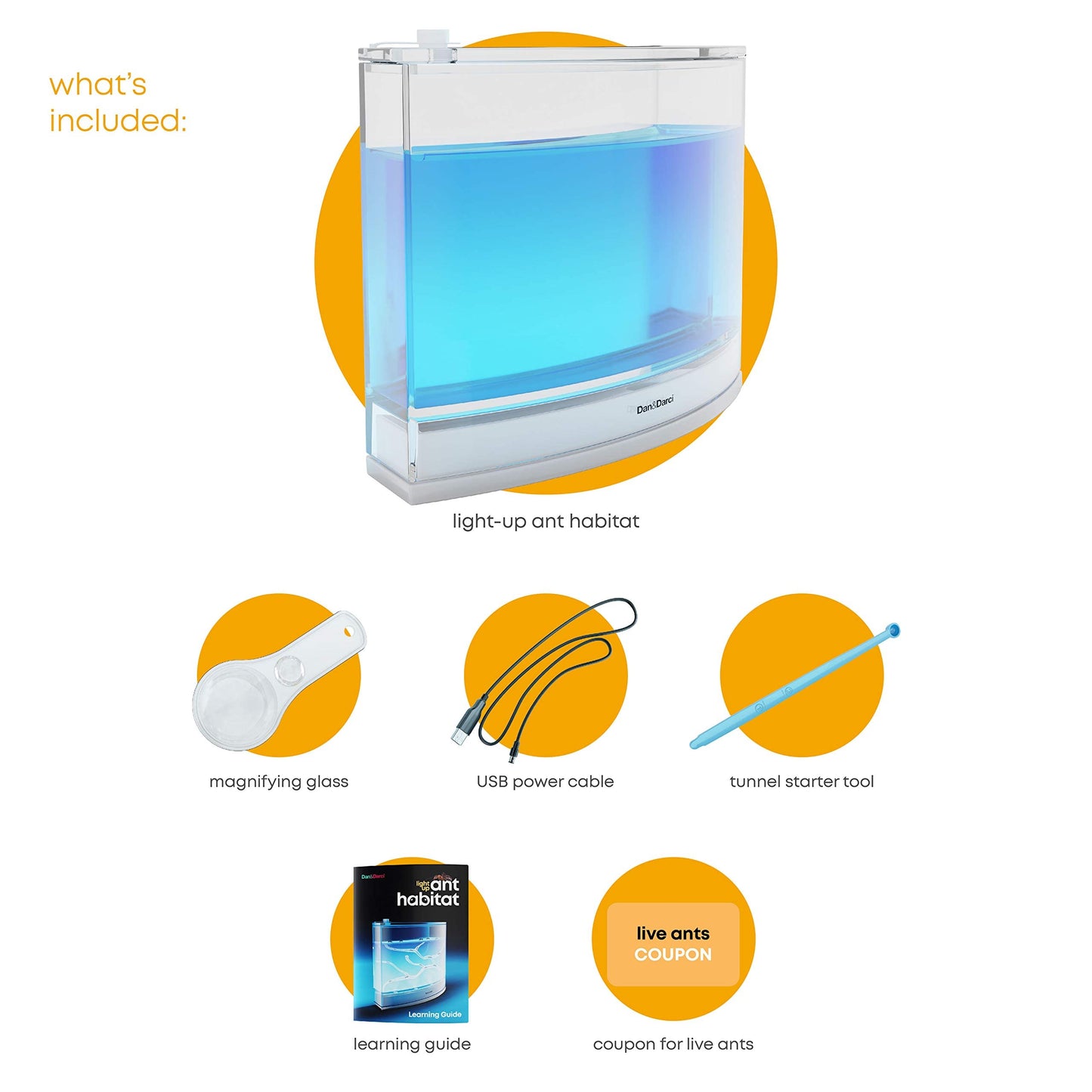 Dan&Darci Light-Up Ant Farm Kit for Kids – LED Terrarium with Nutrient Gel, Watch Ants Dig Tunnels, STEM Science & Experiment Toy Gift