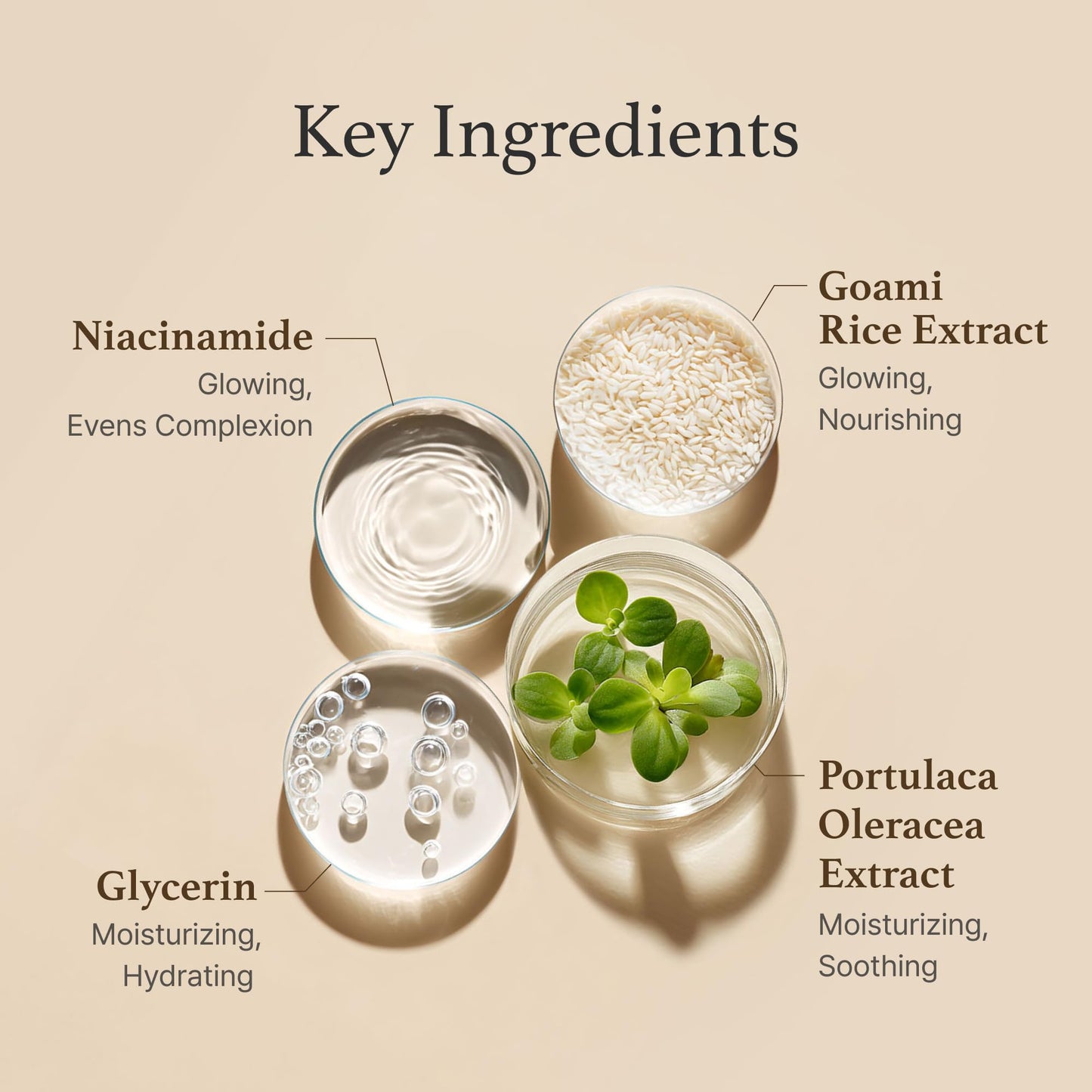 I'm From Rice Toner for Sensitive Skin – Hydrating K-Beauty Essence with Niacinamide & Rice Extract, Vegan, Alcohol & Fragrance Free, 5.07 oz