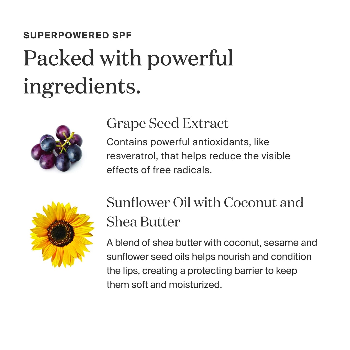 Supergoop! Lipscreen Shine SPF 40 Lip Balm, 0.34 fl oz – Water-Resistant, Non-Sticky Clear Lip Gloss with Grape Seed & Kelp Extract