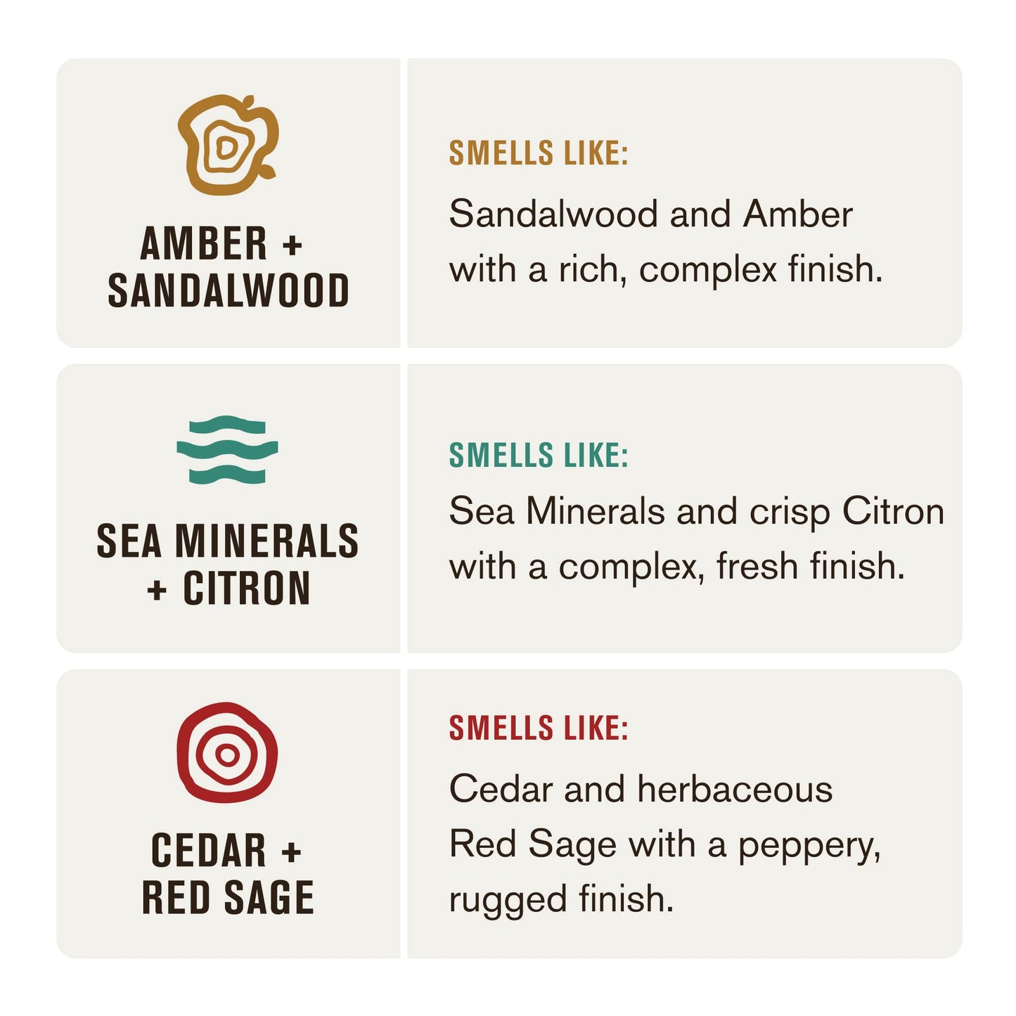 Every Man Jack 2-in-1 Shampoo + Conditioner for Men Variety Pack – Amber Sandalwood, Cedar Red Sage & Sea Minerals Citron, 13.5 oz, 3 Pack