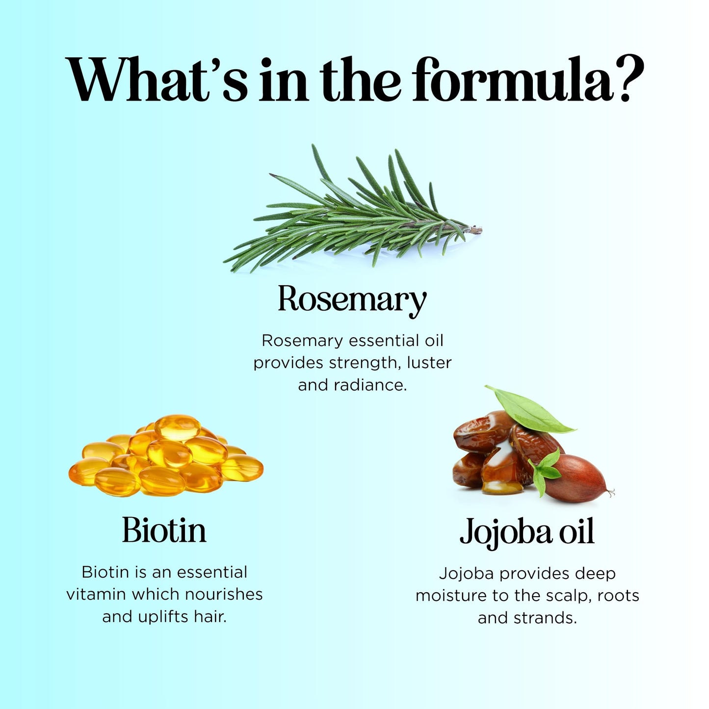 Rosemary Biotin Shampoo & Conditioner Set | Volumizing Hair Care for Thinning Hair | B Vitamin-Enriched | Color Safe, Sulfate & Paraben Free, 8 Fl Oz