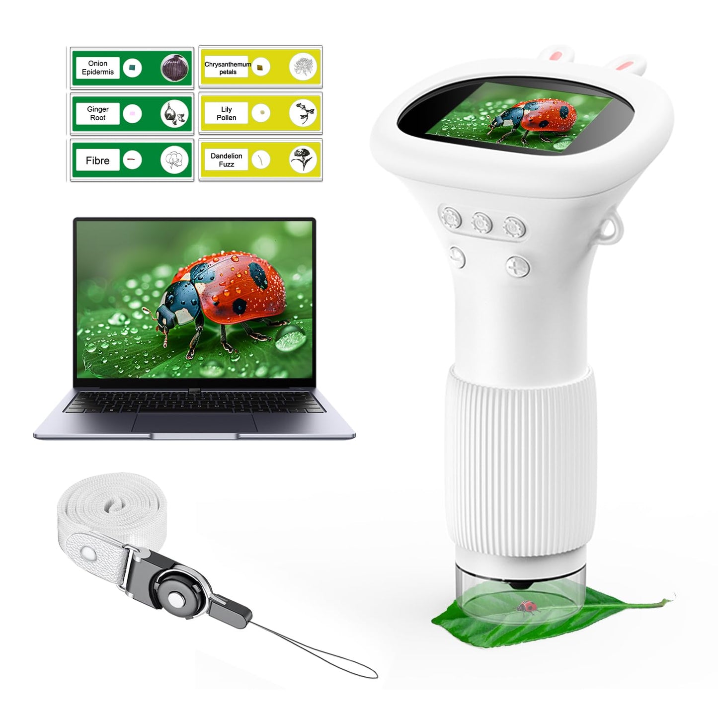 WINWEND Kids Microscope – Portable Handheld Digital Magnifier for Boys & Girls, Educational Science Toy for Ages 3–11, Gift Idea