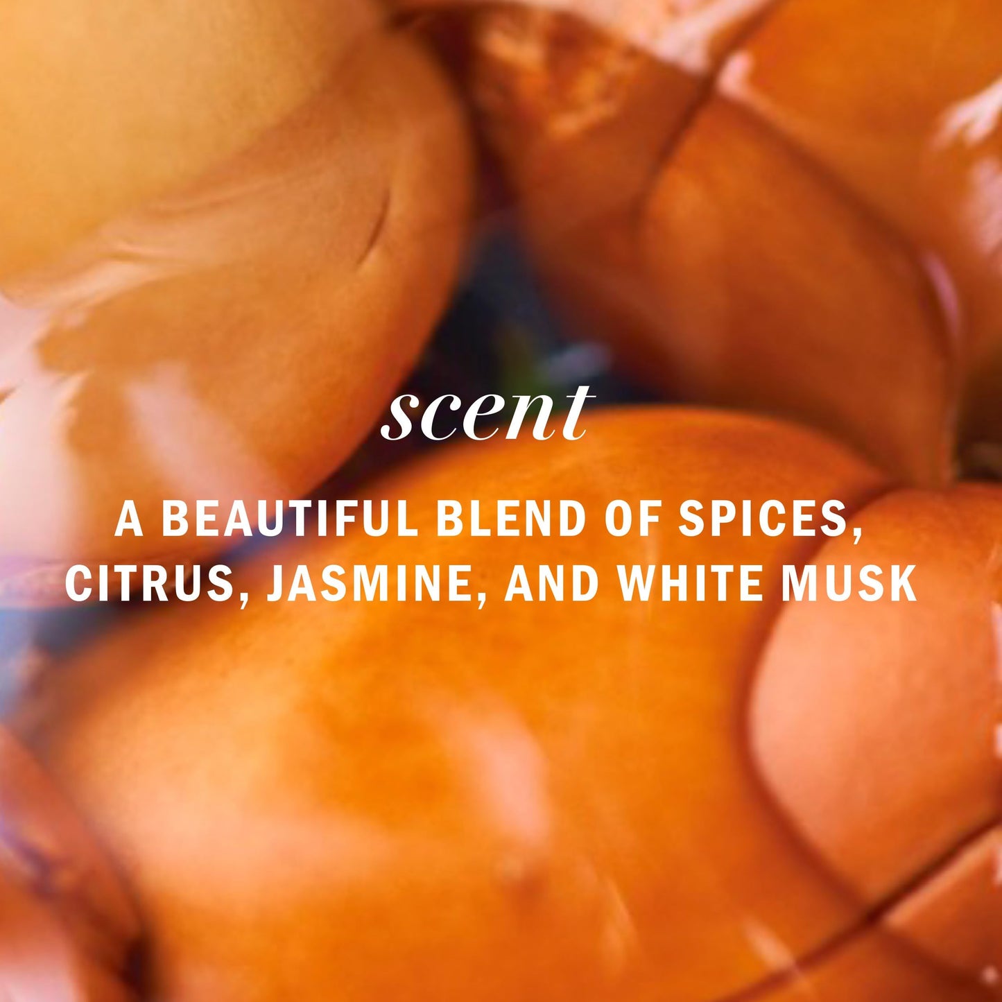 Herbal Essences Argan Oil Repair Shampoo & Conditioner Set, 2-Pack, 20.2 Fl Oz Each, Moisturizing, Paraben-Free, Color-Safe, Citrus Scent