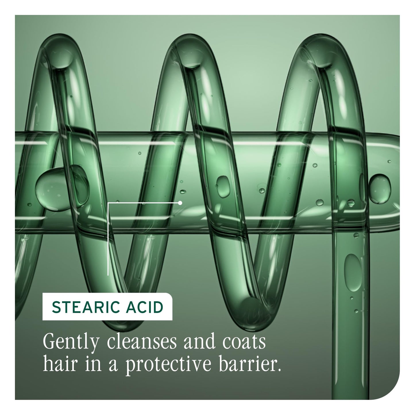 Biolage Color Last Conditioner - Protects & Preserves Color Treated Hair, Hydrates & Repairs Damaged Hair, Adds Shine, Vegan, Paraben-Free, 13.5 Fl Oz