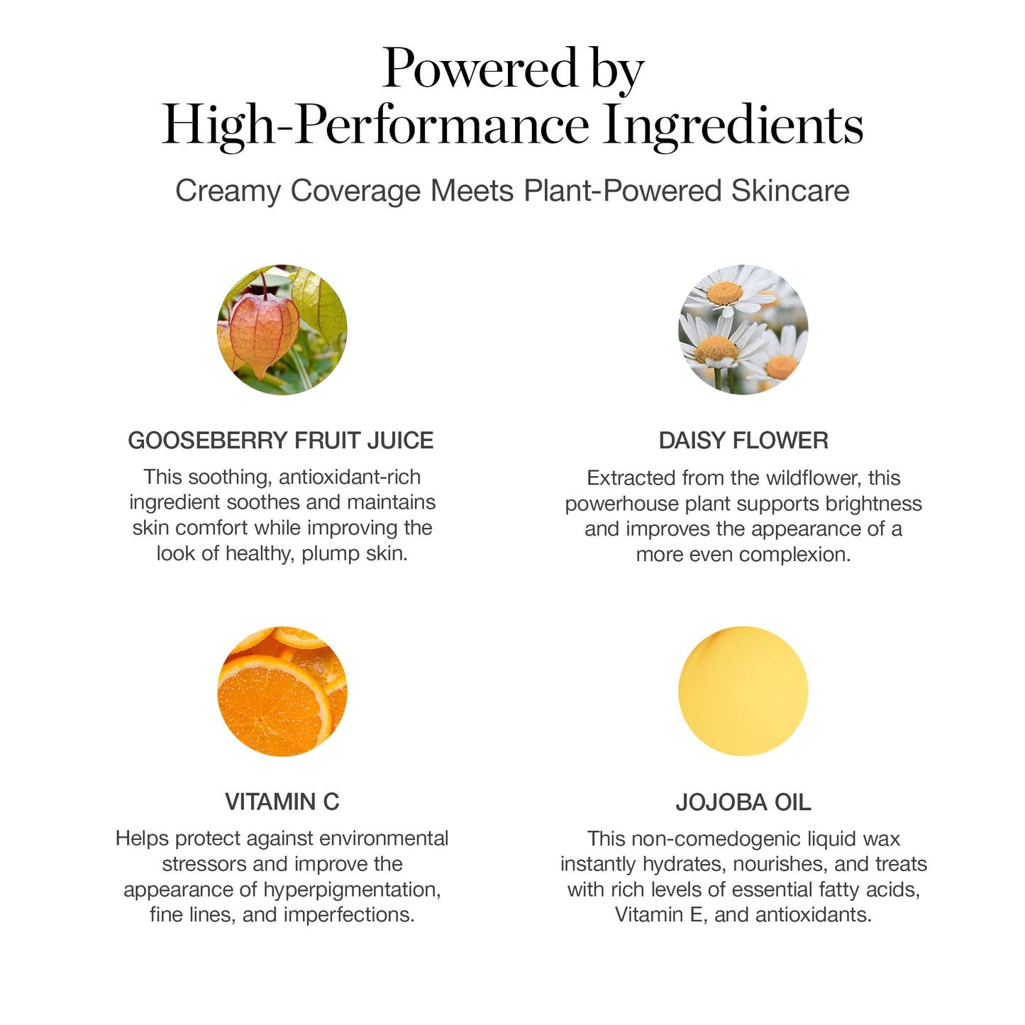 Ogee Complexion Perfecting Liquid Foundation - Lightweight Tinted Moisturizer with Vitamin C & Jojoba Oil, Fair Pink-Beige, Organic