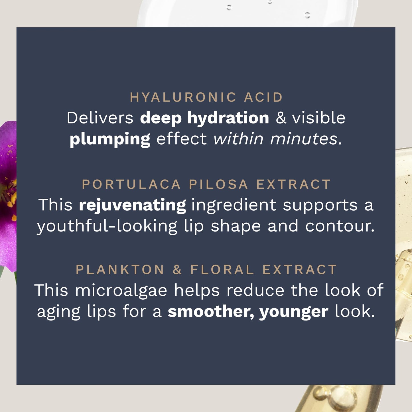 City Beauty City Lips Night Oil – Plumping, Hydrating & Restoring Overnight Lip Treatment with Hyaluronic Acid & Plant Extracts