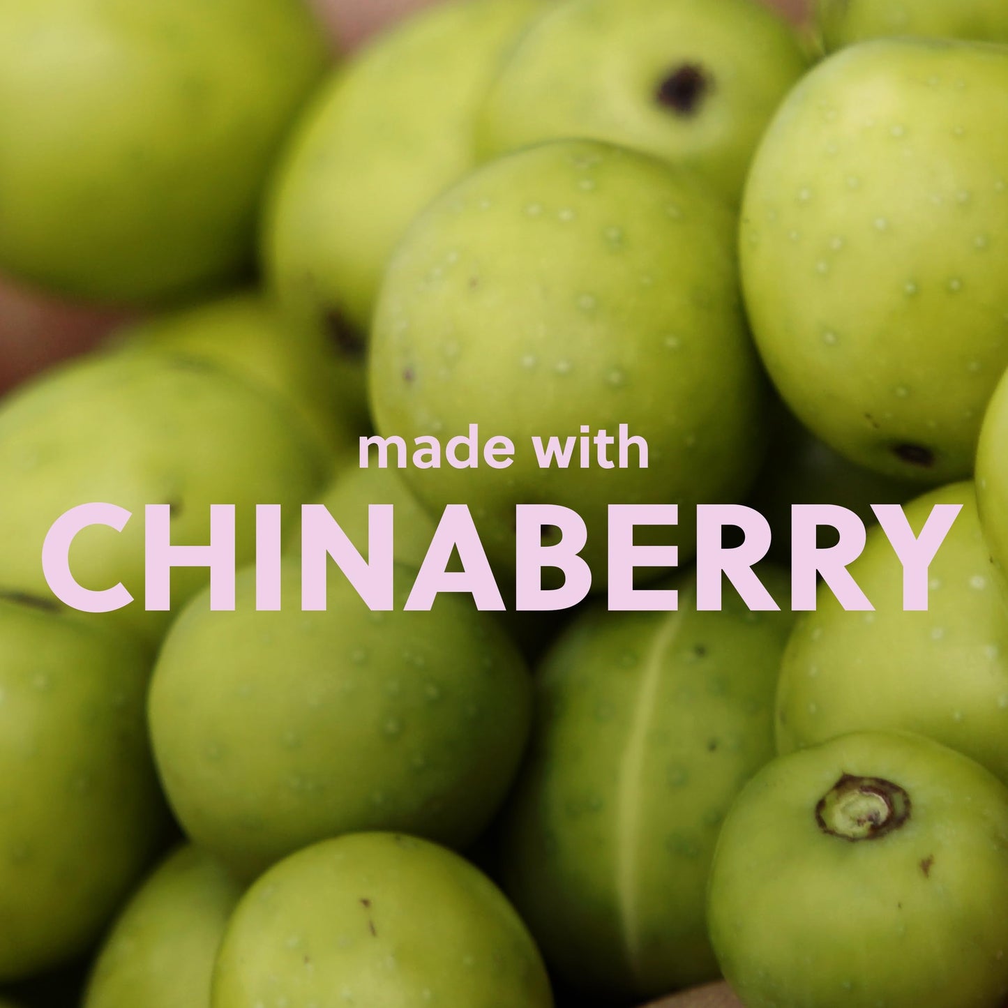 Tree Hut Sugarlips Lip Butter Trio – Original, Watermelon & Strawberry, Hydrating & Nourishing for Soft, Full Lips, 0.52 Fl oz Each