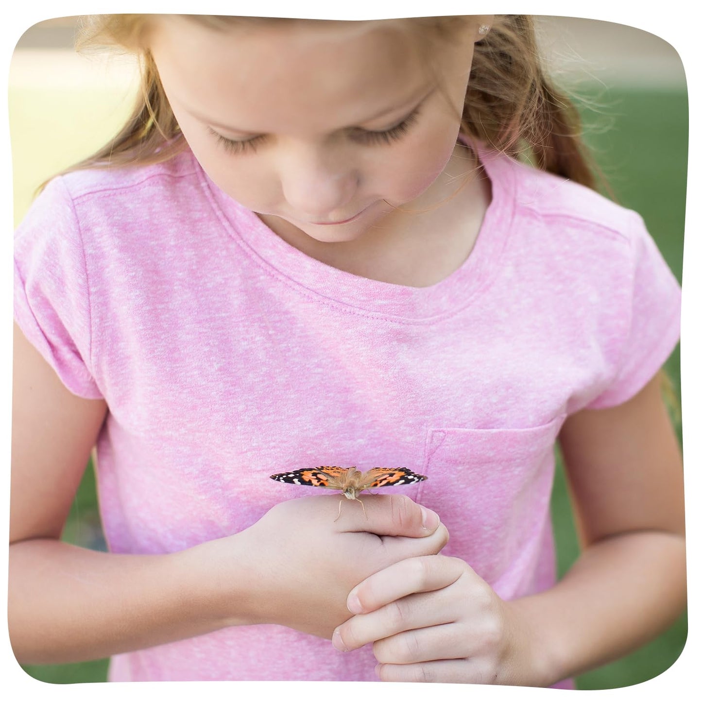 Insect Lore Butterfly Garden Kit - 8" Habitat with 5 Live Caterpillars, Stickers & Extras | STEM Life Science Gift to Grow & Release