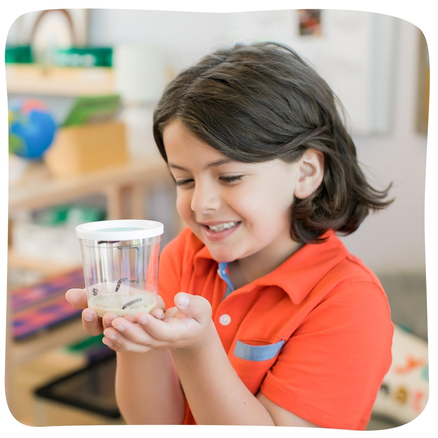 Insect Lore Butterfly Garden Kit – 10 Live Caterpillars, Habitat, STEM Journal, Feeder & Chrysalis Logs – Grow & Release Painted Lady Butterflies