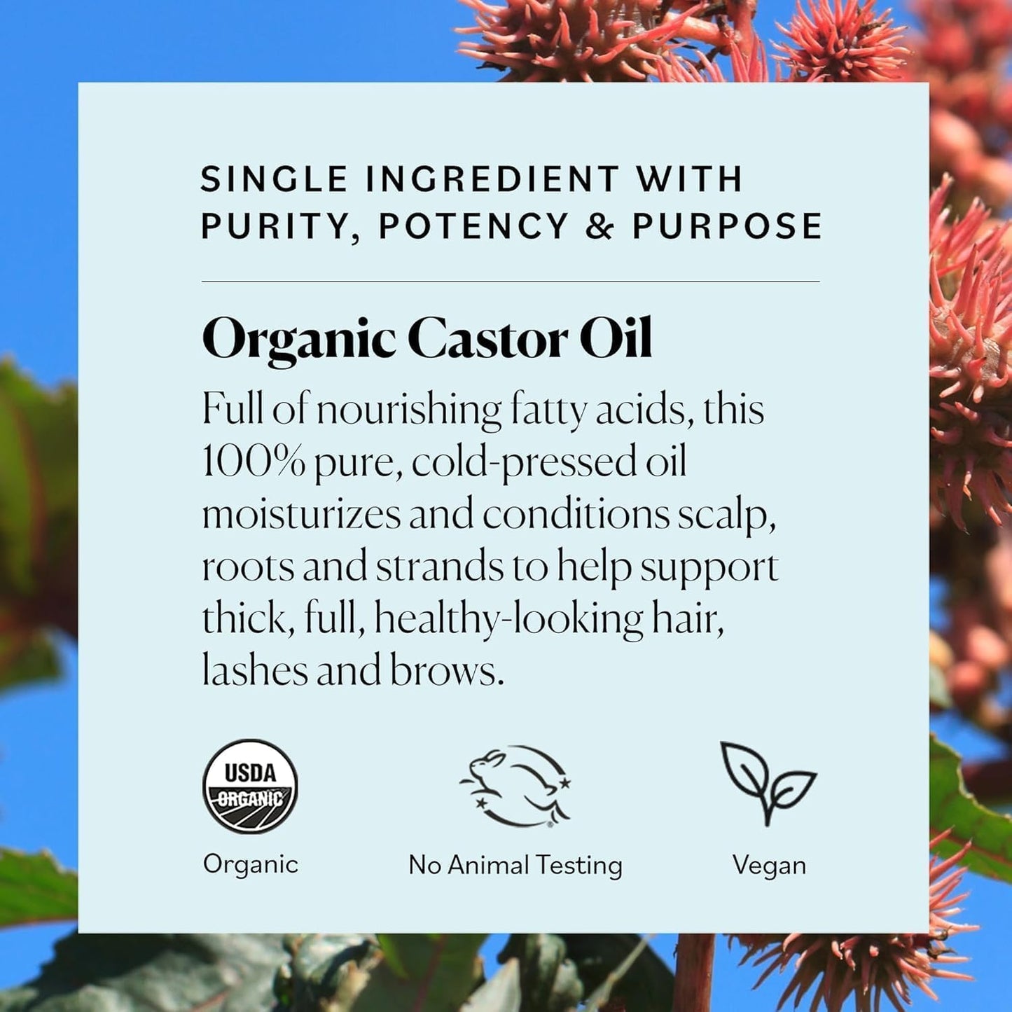 Sky Organics Organic Castor Oil - USDA Certified, Cold Pressed & Hexane Free Hair Growth Oil for Hair, Skin, Face & Eyelashes - Pure Carrier Oil