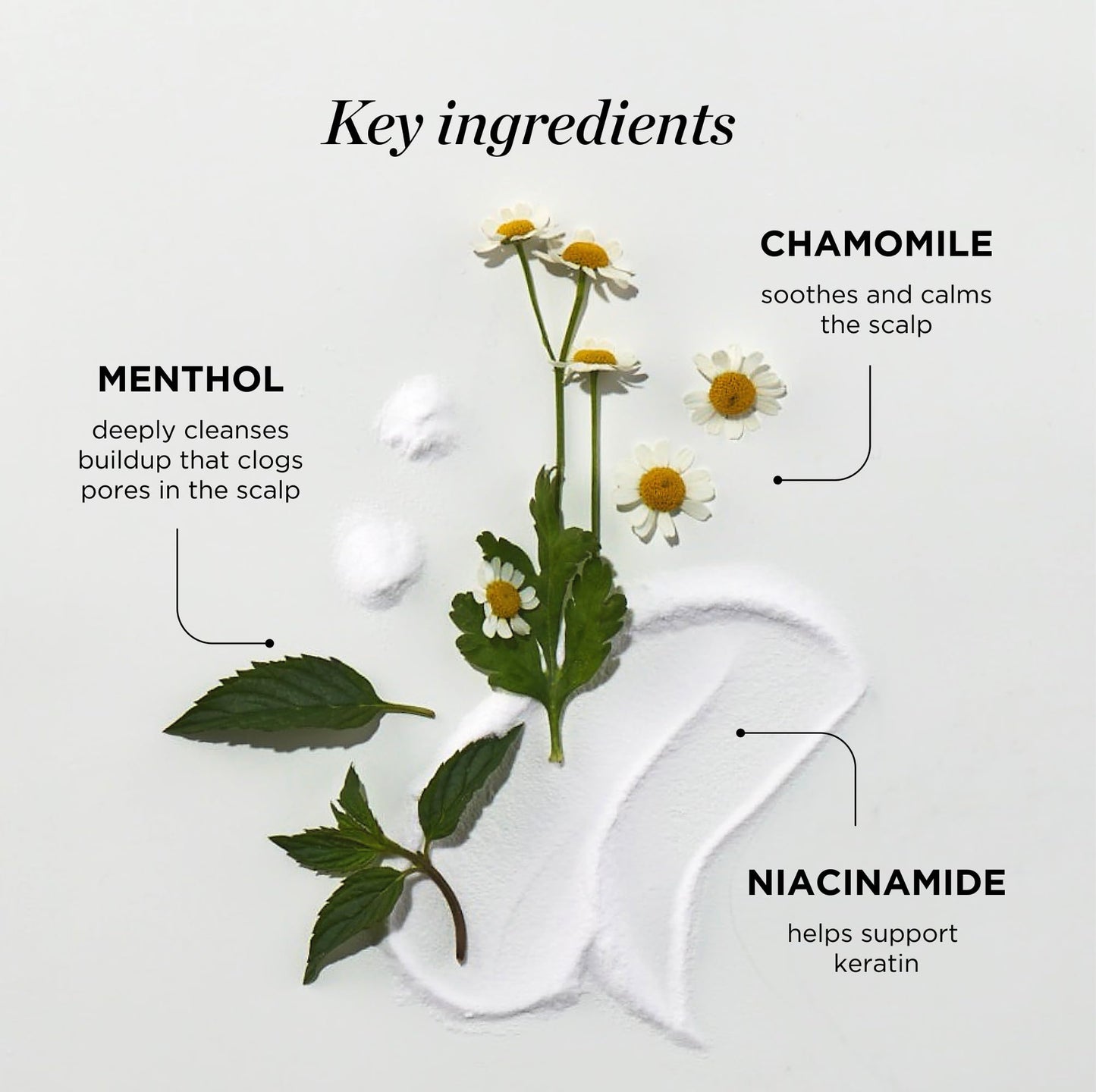 Dr. Groot Scalp Relief Tonic with Chamomile, Niacinamide & Biotin – Korean Scalp Revitalizing Spray for Dry Scalp, Menthol & Rosemary Oil Care