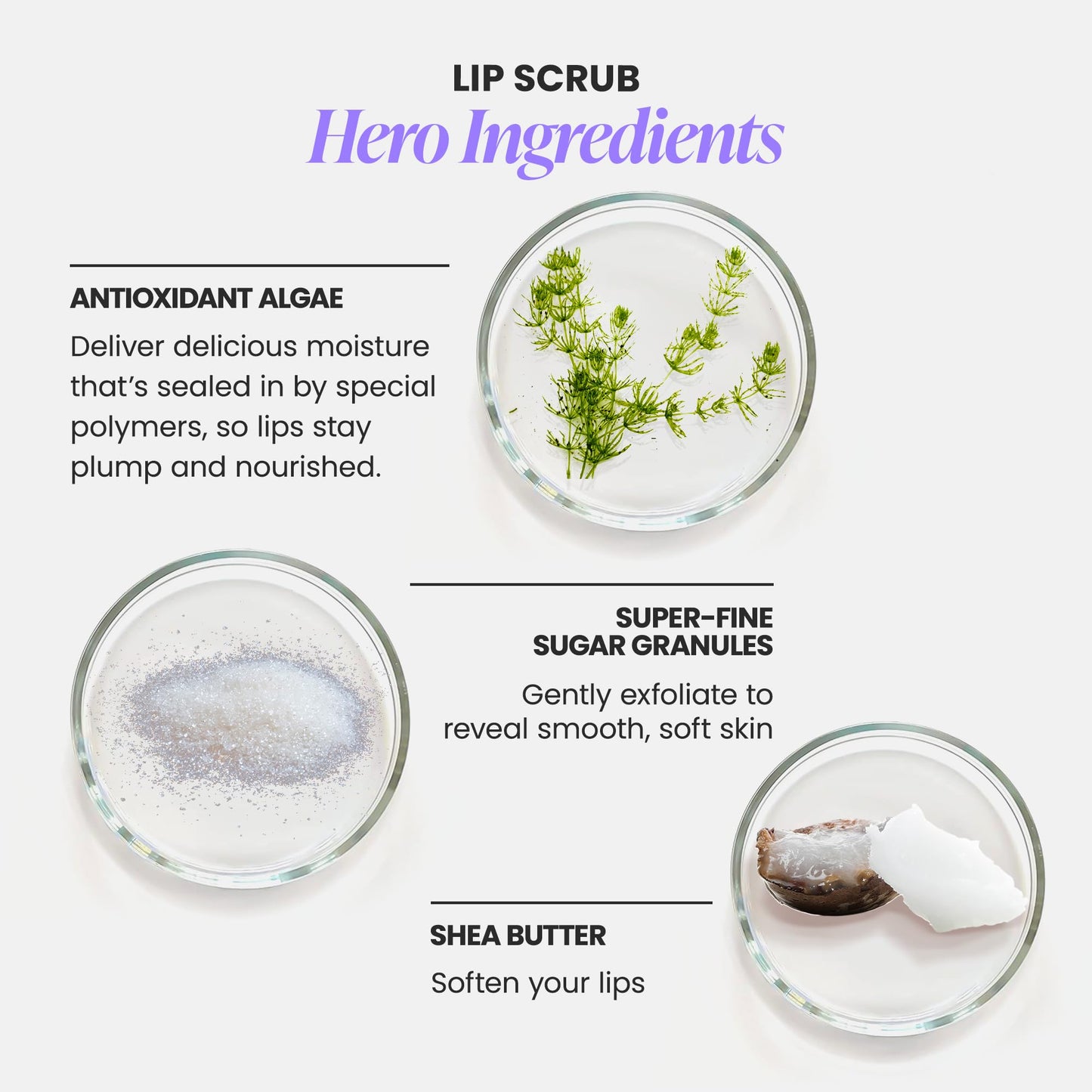 Wonderskin 3-in-1 Lip Scrub & Balm – Exfoliator, Moisturizer & Hydrator for Smooth, Soft, Flake-Free Lips, One-Step Lip Care, 0.10 oz