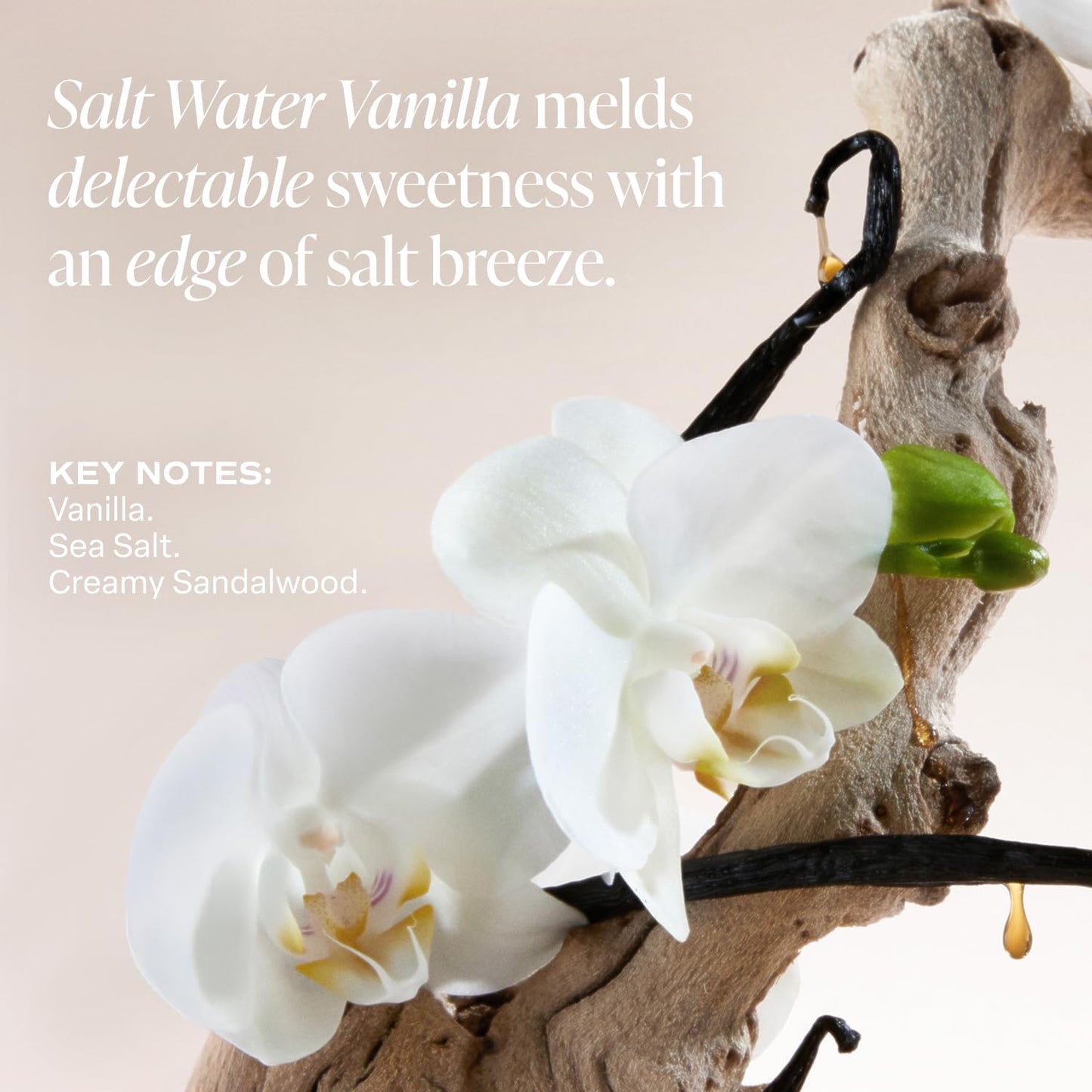 Saltair Multi-Lipid Body Butter 10oz – Rich Hydrating Cream with Ceramides, Coconut & Shea Butter, Salt Water Vanilla for Dry Skin