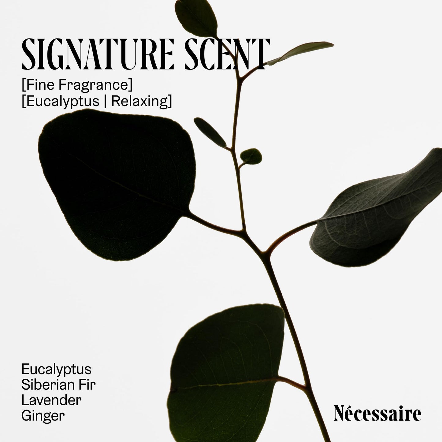 Nécessaire The Body Exfoliator – Eucalyptus AHA/BHA/PHA, Smooths Rough Patches & Keratosis Pilaris, Hypoallergenic, Dermatologist-Tested 180ml