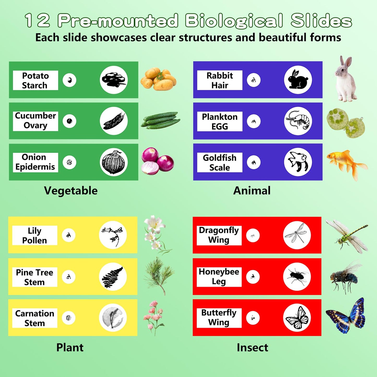 Odatay Kids Microscope 100X-1000X, 1080P Digital Handheld with 12 Slides, Mini Portable Science Toy Gift for Ages 3-12, Blue