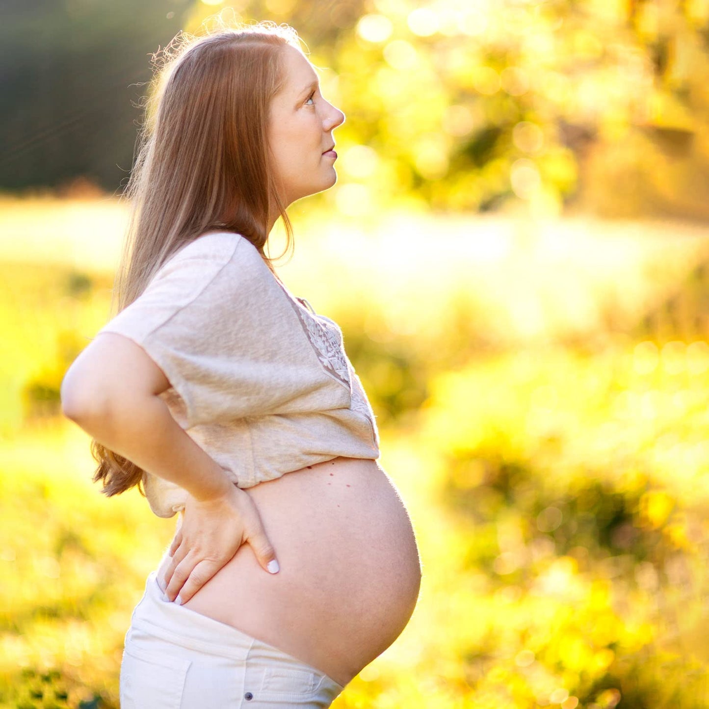 Badger Organic Pregnant Belly Oil - Jojoba & Coconut - 4 oz.