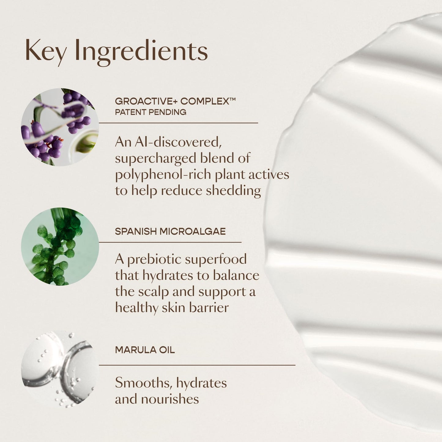 VEGAMOUR GRO+ Advanced Balancing Conditioner – Hydrating, Nourishing & Softening Formula for Thinning Hair – Color Safe, Vegan, Silicone-Free (8 Fl Oz)