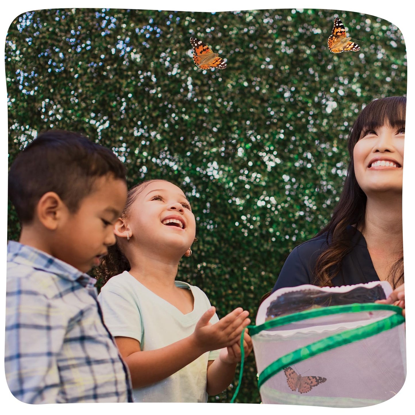 Insect Lore Butterfly Garden Kit – Grow 10 Live Painted Lady Butterflies, STEM Activity with Habitat, Journal, Stickers & Seeds