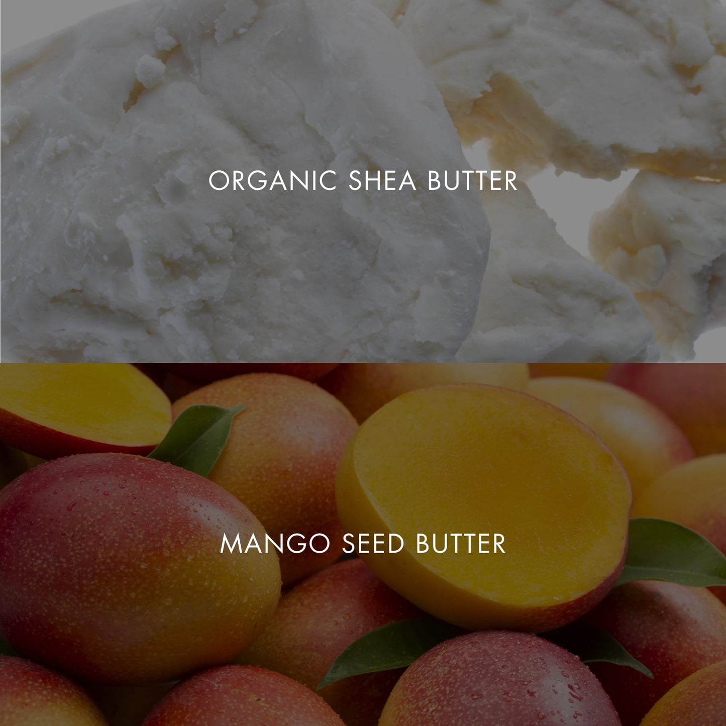 Bioelements Lip Clinic Exfoliating Butter, 0.33 fl oz – Overnight Smoothing Lip Treatment with AHAs, Shea & Mango Butter, Vegan & Cruelty-Free