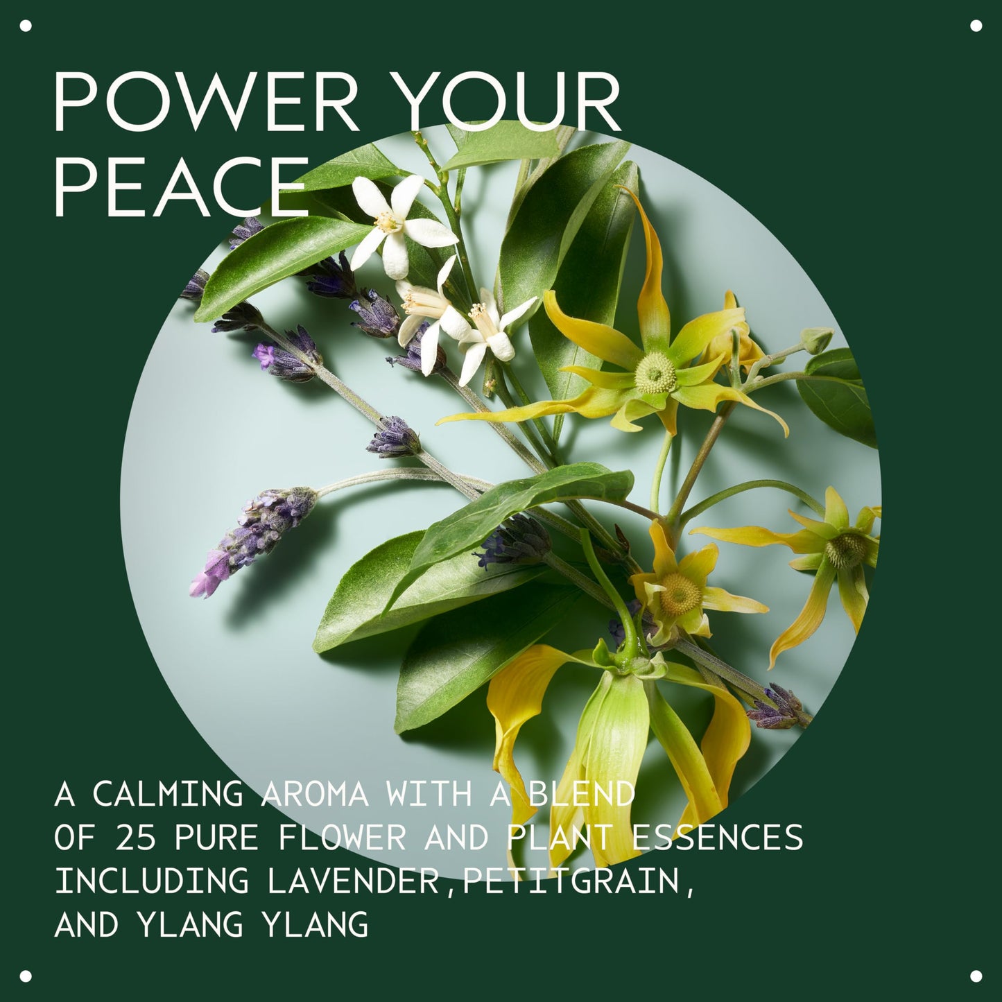 Aveda Shampowder Dry Shampoo Powder 2 oz | Non-Aerosol Volumizing Dry Shampoo | 99% Naturally Derived | Shampure Lavender & Ylang-Ylang Aroma