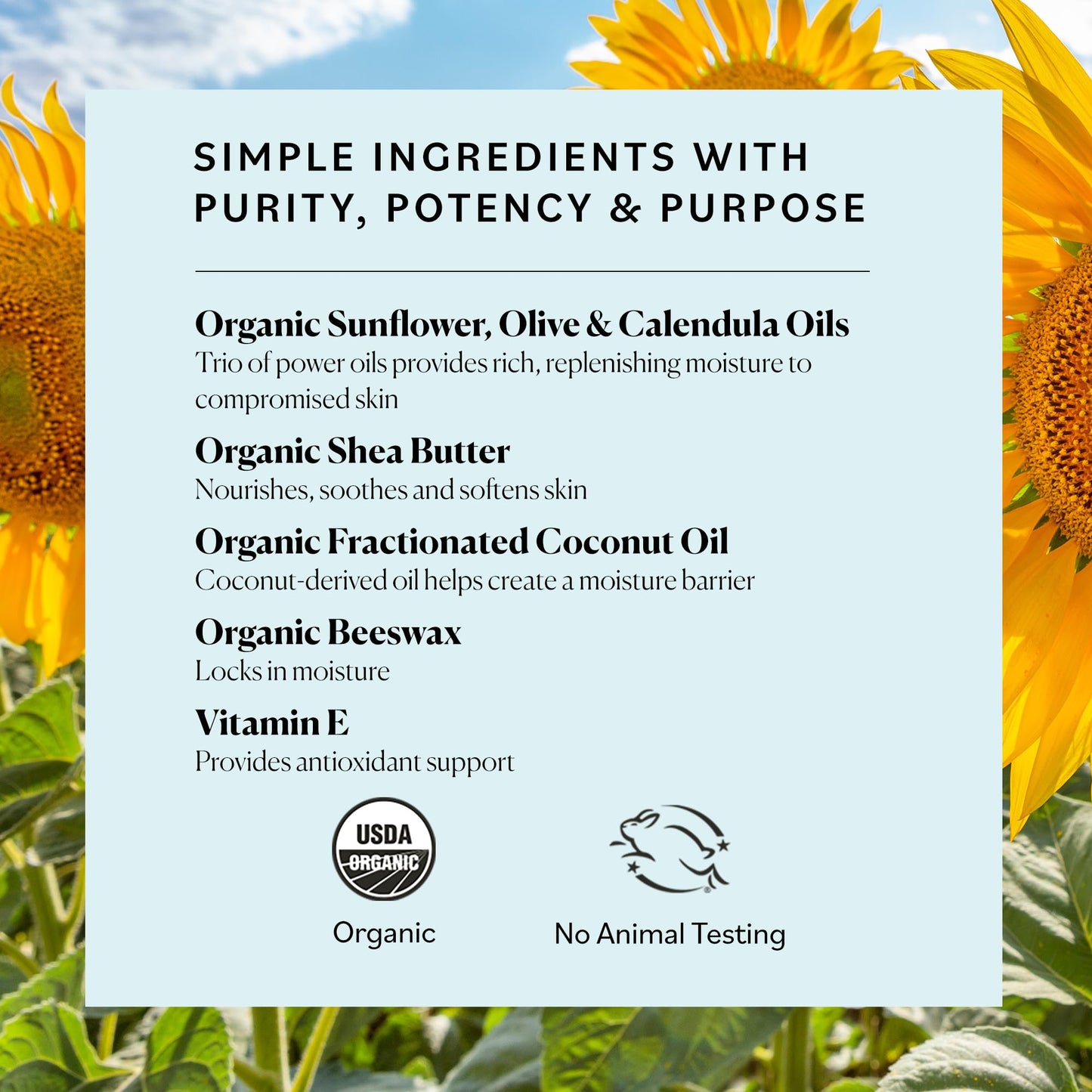 Sky Organics Petroleum-Free Organic Jelly Balm, Shea, Coconut & Olive Oils, Vitamin E – Moisturizer & Lip Care for Dry Skin, 2.5oz + Ebook