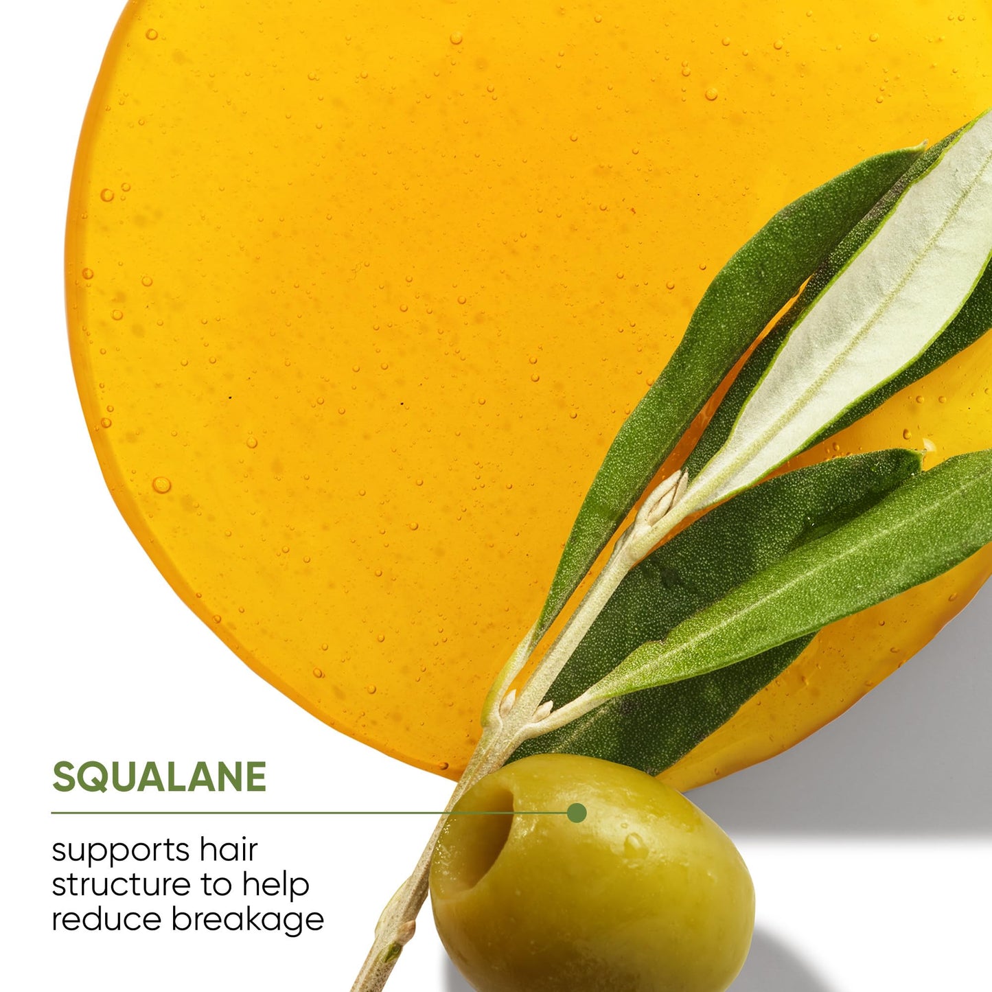 Biolage Strength Recovery Leave-In Conditioner Spray | Heat Protectant, Detangler & Blowout Primer | Strengthens & Prevents Damage | 7.8 Fl Oz