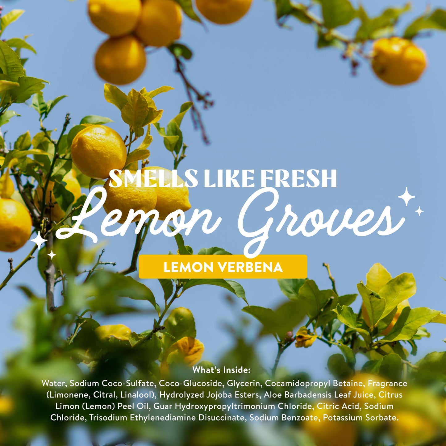 Cleancult Lemon Verbena Liquid Hand Soap Refill, 32oz – Moisturizing, Aloe & Essential Oils, Eco-Friendly Paper Packaging for Sensitive Skin