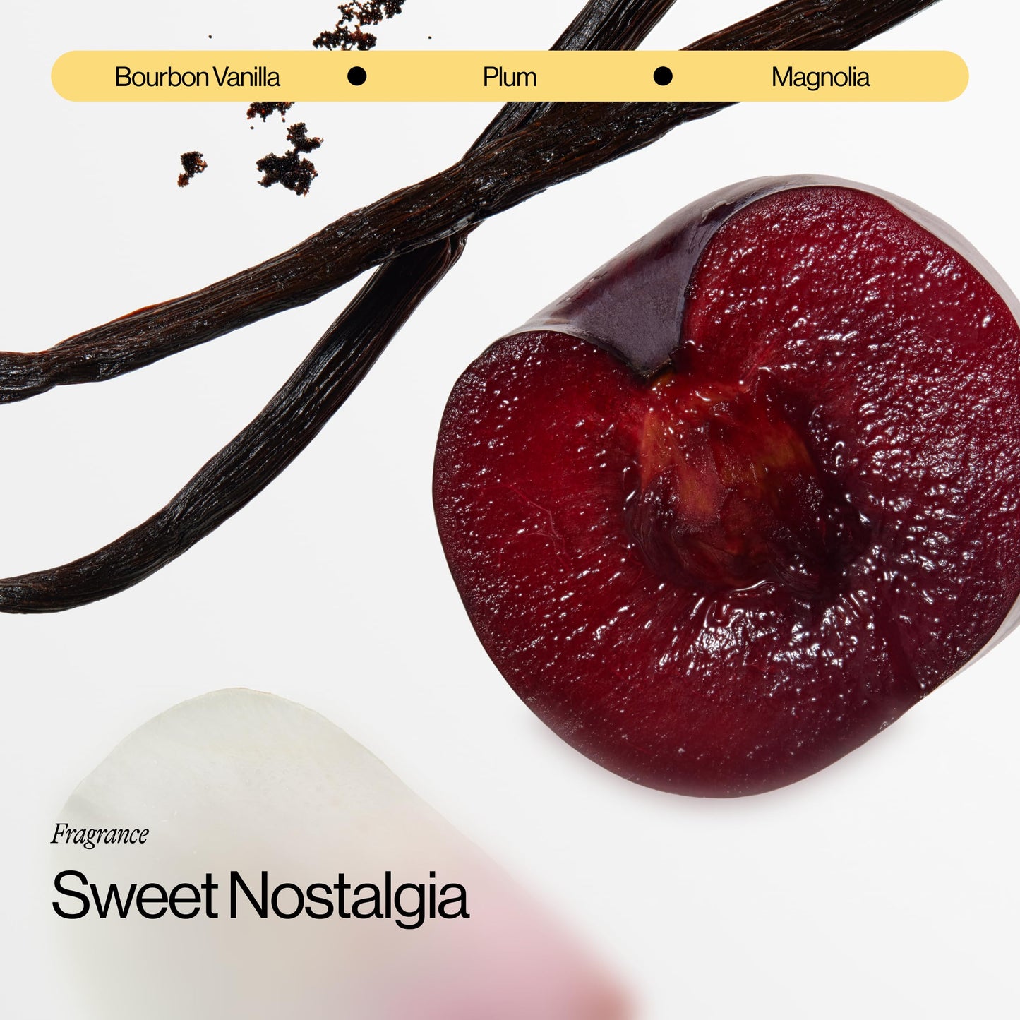 Eva NYC Invisible Dry Shampoo Spray 5.3 oz | Oil-Absorbing, Odor-Removing, No White Cast | Freshens Light, Dark & Oily Hair | Warm Vanilla Scent