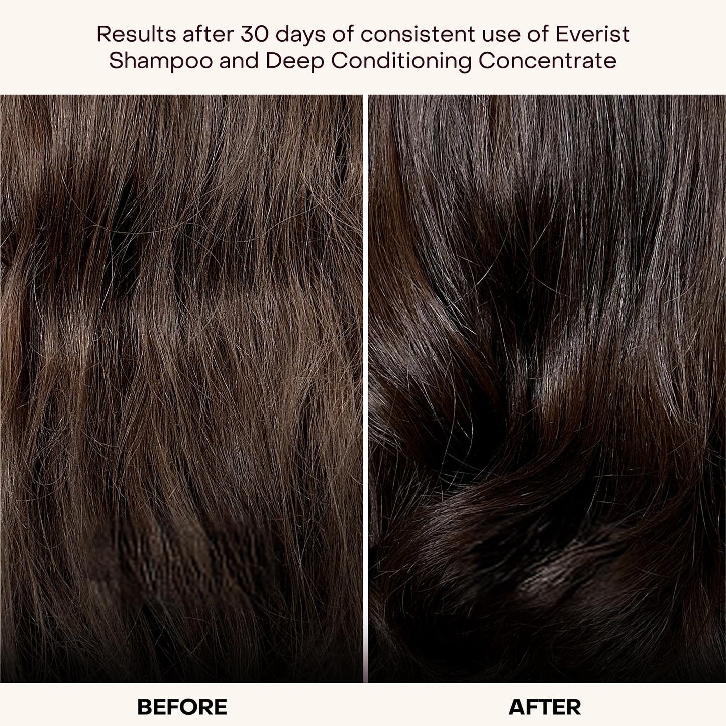 Everist The Haircare Essentials Duo | Shampoo & Deep Conditioner | Repairs & Hydrates | For Sensitive Scalp | Plant-Based, Color-Safe, 3.4 fl oz Each