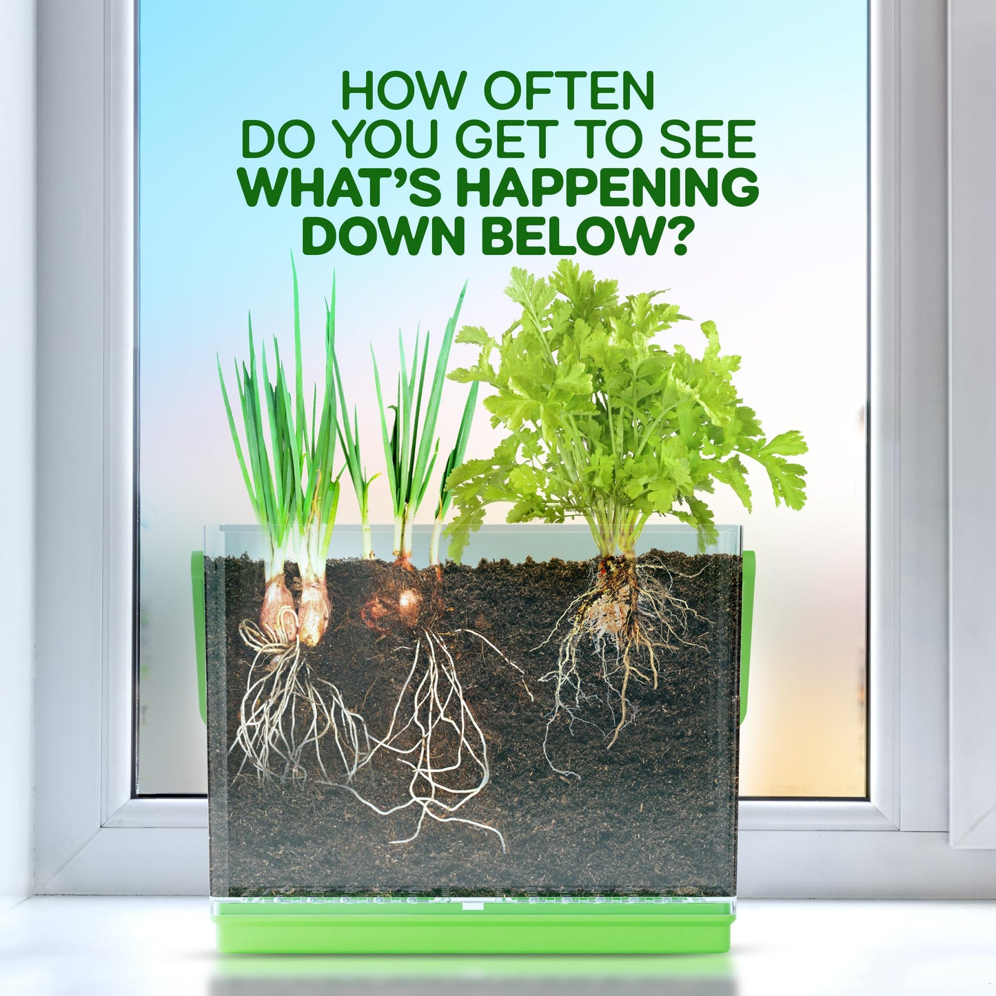 Dan&Darci Root Viewer Kit for Kids – Grow Your Own Plant STEM Science & Craft Toy for Boys & Girls Ages 4-8 | Birthday & Christmas Gift