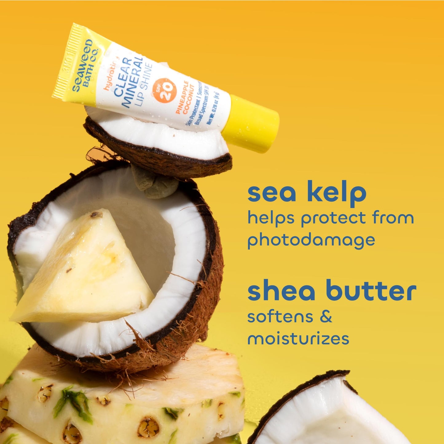 Seaweed Bath Co. Hydrating Clear Mineral Lip Shine SPF 20 Sunscreen Zinc Oxide Lip Balm, .35 Oz, Moisturizing Care for Dry, Chapped Lips